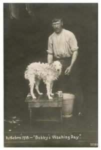 Bill Myers and Bobby, the camp's dog